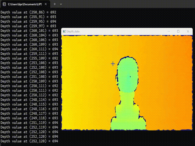 dd1 1 - LIPS® Developer Documentation